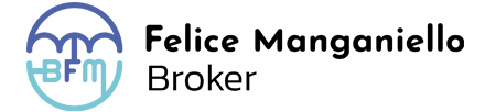 BFM Assicurazioni di Manganiello Felice Logo